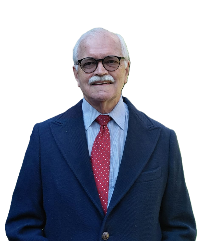 Johan De Witt